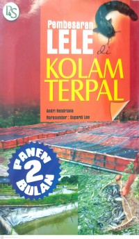 Pembesaran Lele Kolam Terpal
