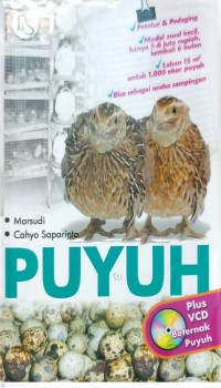 Puyuh
