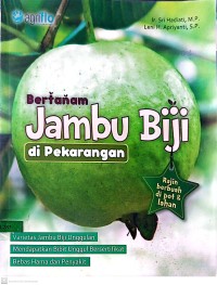 Bertanam Jambu Biji di Pekarangan