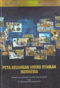 Peta keuangan mikro syariah Indonesia