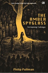 The amber spyglass